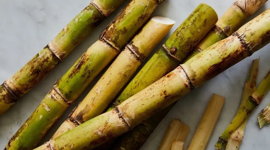 sugarcane-linda-xiao